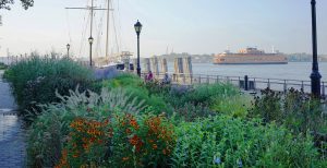 Homepage, Gardens