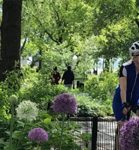 Bikeway