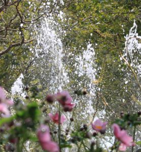 Fountain