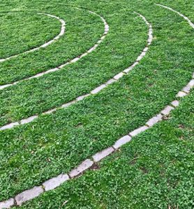Labyrinth