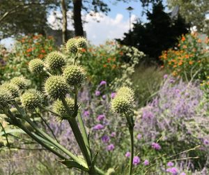The Gardens