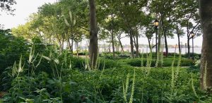 Gardens