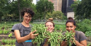 urban farm