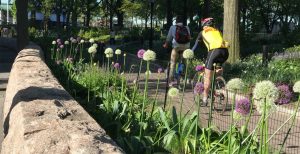 The Battery Bikeway