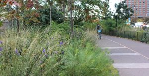 The Battery Bikeway