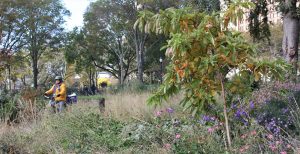 The Battery Bikeway