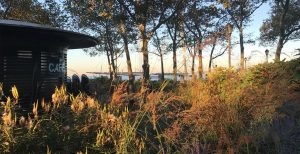 Dining at the Battery