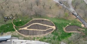 Urban Farm