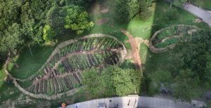 Urban Farm