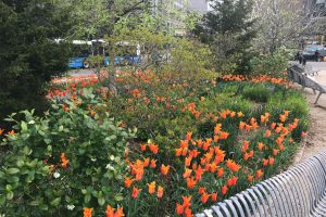 Staten Island Ferry and Peter Minuit Plaza