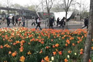 Staten Island Ferry and Peter Minuit Plaza