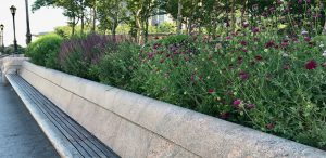 The Gardens
