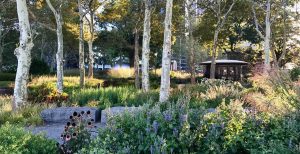 The Gardens