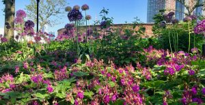 The Gardens