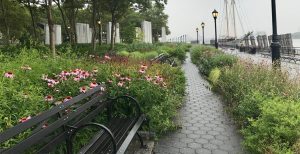 The Gardens