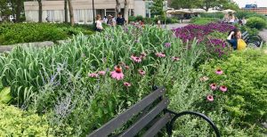 The Gardens