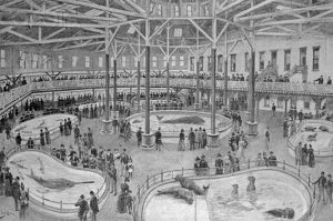 1896