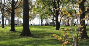 The Battery Oval, Bikeway, and Woodland