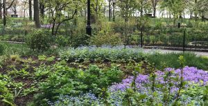 The Battery Oval, Bikeway, and Woodland