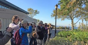 Park Programs at the Battery