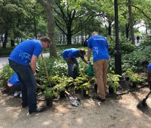 Group Volunteering