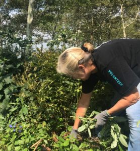Volunteer with the Battery