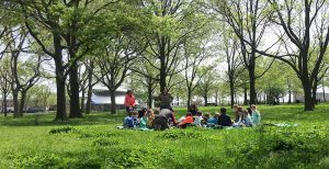 The Battery Woodland
