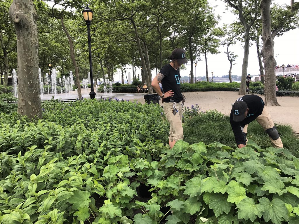 Volunteer Orientation The Battery
